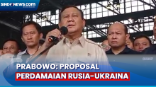 Proposal Perdamaian Rusia-Ukraina, Prabowo: Ini Usaha Saya Follow-Up Kunjungan Presiden