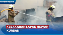 Kebakaran Rumah dan Lapak Hewan Kurban di Cakung, 14 Mobil Damkar Diterjunkan Padamkan Api