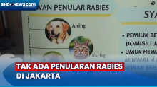 Dinkes Jakarta Catat 1.527 Kasus Gigitan Hewan Sepanjang Tahun 2023, Tak Ada yang Tertular Rabies