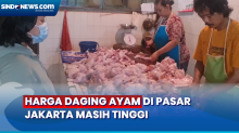 Tembus Rp50 Ribu per Ekor, Harga Daging Ayam di Pasar Jakarta Masih Tinggi