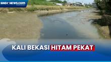 Viral Kali Hitam Pekat, Wali Kota Bekasi Koordinasi dengan Pemkab Bogor Terkait