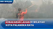 Lahan Seluas 5 Hektare Hangus Terbakar, Api Dipadamkan 2 Jam