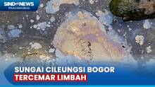 Pencemaran di Sungai Cileungsi Bogor, Air Menghitam dan Bau
