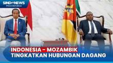 Bertemu Presiden Mozambik, Jokowi Dorong Ekspor Kereta BUMN Indonesia