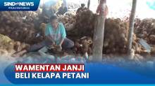 Harga di Tanjab Barat dan Riau Anjlok, Wamentan Janji Beli Kelapa Milik Petani