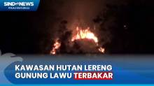Kebakaran Landa Hutan di Lereng Gunung Lawu, Areal Seluas 9 Hektare Musnah