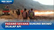 Kebakaran Padang Savana, Wisata Gunung Bromo Ditutup Sementara