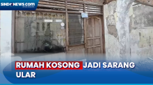 Meski jadi Sarang Ular, Pemilik Rumah di Jakarta Timur Tolak Pembongkaran