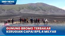 TNBTS: Dampak Kebakaran Gunung Bromo 504 Hektare Lahan Terbakar Kerugian Capai Rp5,4 Miliar