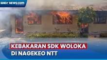 Gedung SDK Woloka di Nagekeo Terbakar, 3 Ruang Kelas dan 1 Gudang Ludes