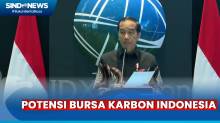 Bursa Karbon Indonesia Resmi Diluncurkan, Jokowi Sebut Potensi Capai Rp3.000 Triliun