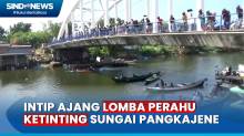 Serunya Lomba Perahu Rakyat Ketinting di Sungai Pangkajene, Pangkep