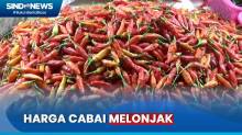 Harga Cabai Melonjak di Pasar Jakarta, Tembus Rp100 Ribu per Kg