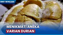 Mencicipi Aneka Varian Durian Lokal Hingga Impor di Bandar Lampung