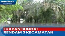 Luapan Sungai Kampar Rendam 3 Kecamatan di Kampar, Riau