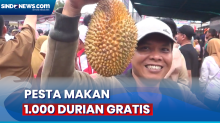 Desa Nangka Bangka Selatan Gelar Pesta Makan Durian Gratis Diserbu Warga