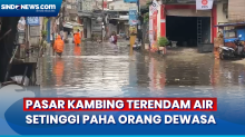 Hujan Deras, Kawasan Pasar Kambing Terendam Air Setinggi Paha Orang Dewasa