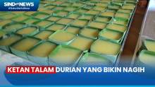 Menikmati Manisnya Ketan Talam Durian dari Tuban Jawa Timur