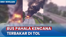 Terungkap Penyebab Bus Pahala Kencana Terbakar di Tol Jombang-Mojokerto