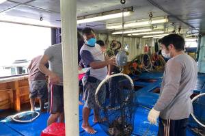 Indonesia Kembali Ekspor 17,3 Ton Ikan Kerapu ke Hong Kong
