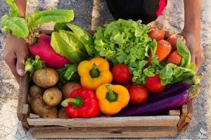 10 Sayuran yang Bisa Anda Tanam di Rumah dan Tumbuh dengan Mudah