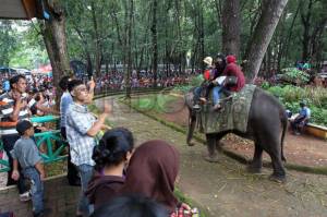 Libur Panjang, 1.400 Pengunjung Berwisata ke Taman Margasatwa Ragunan