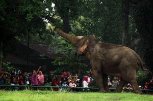 Jakarta PSBB Lagi, Taman dan Hutan Kota Tutup Sementara