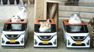 Imut Banget, Nissan Buat Mobil Mainan Buat Kucing-kucing Kesayangan