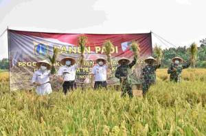 Pemprov DKI dan TNI AU Kembangkan Pertanian di Lanud Halim Perdanakusuma