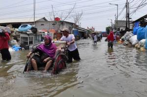 Lagi, Banjir Rob Terjang Permukiman Warga di Muara Karang