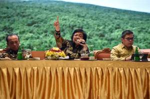 Menteri Siti Pastikan Kawasan Hutan Tidak Dipakai Food Estate