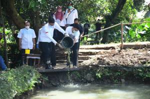 Cerita Sukses Petani Milenial Manfaatkan Lahan Sempit di Bogor dengan Pertanian