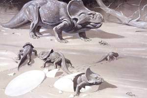 Ilmuwan Sebut Perisai Leher Protoceratops Hasil dari Seleksi Seksual