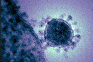 Virus Baru atau Lama Covid-19, Vaksin Tetap Berpengaruh pada Imunitas