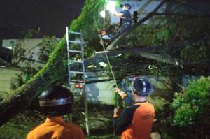 Puting Beliung Terjang Leuwiliang Bogor, Puluhan Rumah Rusak