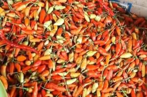 Sempat Tembus Rp150.000/kg, Cabai Rawit Merah di Pasar Kramat Jati Mulai Turun