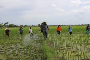 Mentan SYL Gulirkan Bantuan Integrated Farming Berbasis Korporasi di Boyolali