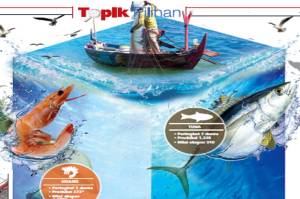 Ekspor Produk Perikanan Mudah, 4,2 Ton Tuna Terbang dari Manado ke Singapura