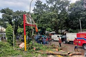 Hujan Disertai Angin Kencang, Pohon Tumbang Hancurkan Billboard Minimarket di Tangsel