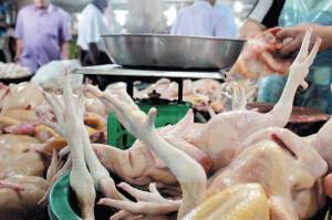 Siap-siap! Konsumsi Daging Ayam Diproyeksi Naik 15% Jelang Lebaran