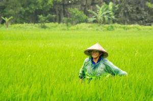 Agribisnis Ekosis Bantu Akses Pembiayaan untuk UMKM
