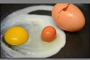Viral Telur dalam Telur, Bisakah? Ini Penjelasan dari Pakar IPB University