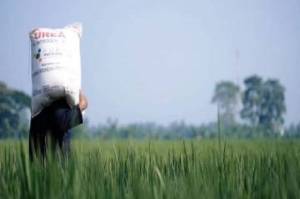 Pupuk Indonesia Sudah Salurkan 4,37 Ton Pupuk Subsidi