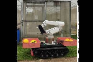 Pakar Robot IPB Ciptakan Robot Cerdas Pemanen Buah Melon, Ini Penampakannya