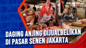 Kasus Daging Anjing di Pasar Senen, Sejumlah Pakar Soroti DKPKP DKI Jakarta