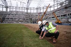 Anies Tinjau Pemasangan Rumput Hybrid di Jakarta International Stadium
