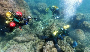Sedang Freediving di Laut, Penyelam Justru Temukan Harta Karun Koin Emas
