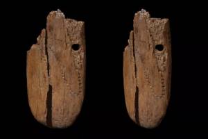 Perhiasan Tertua Berusia 41.500 Tahun dari Gading Ditemukan di Polandia