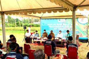 PT Vale Kenalkan Padi SRI Organik ke Petani di Blok Pomalaa