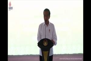 Titah Jokowi: Perizinan di Kawasan Industri Hijau Rampung dalam Hitungan Jam